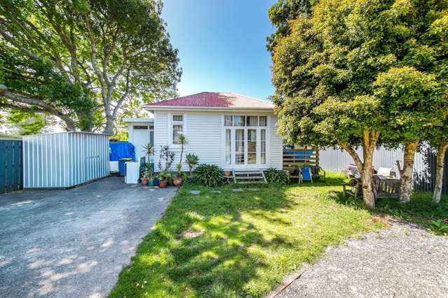 141 Hendon Avenue Mount Albert_2