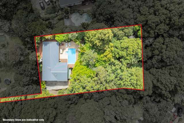 18 Claude Road Hill Park_3