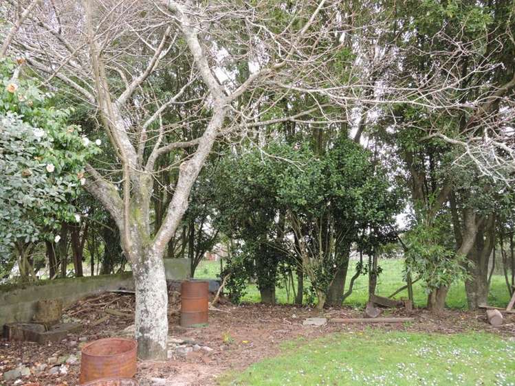 33a Tower Road Matamata_15