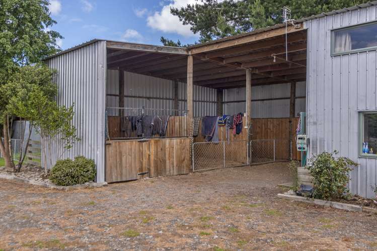 561 Johns Road Fernside_19