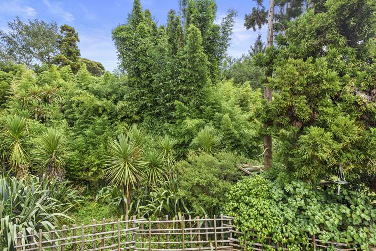 1b Levy Road Glen Eden_39