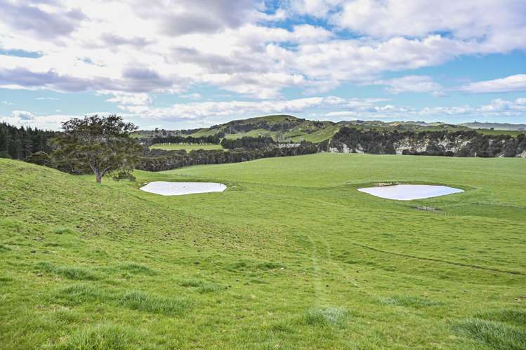 2152 Puketitiri Road Central Hawkes Bay Coastal_23