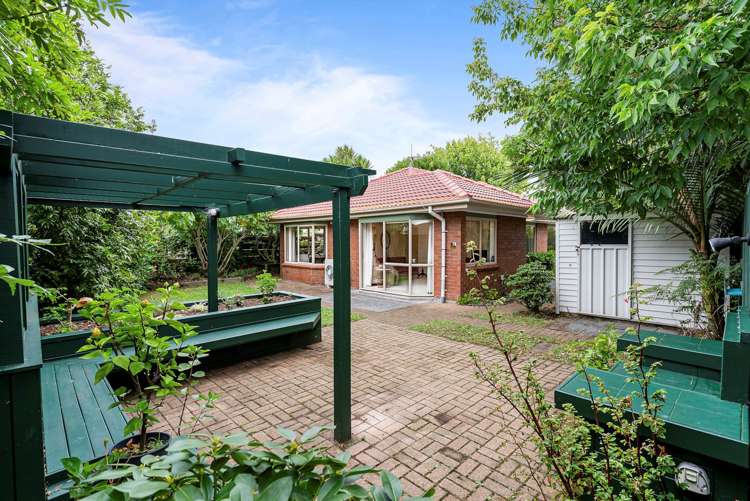 5a Pine Street New Lynn_13