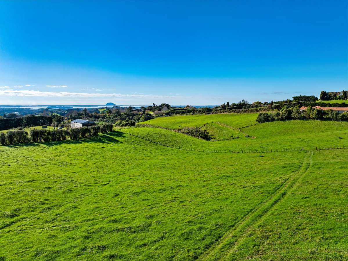 533 Wainui South Road_2