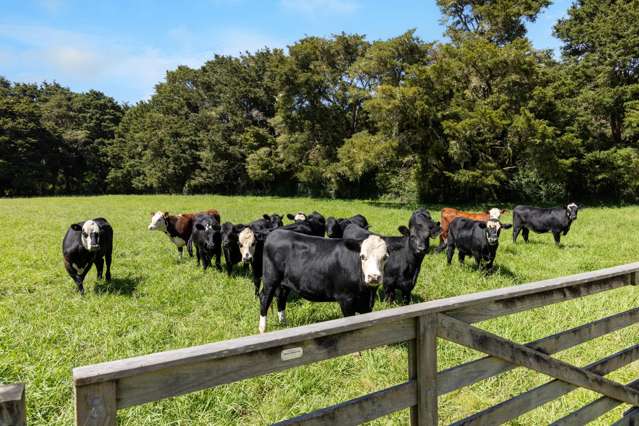 527a Whangaripo Valley Road Wellsford_4