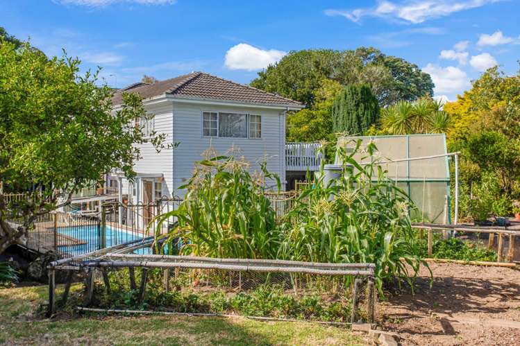 127 Taylors Road Mount Albert_8