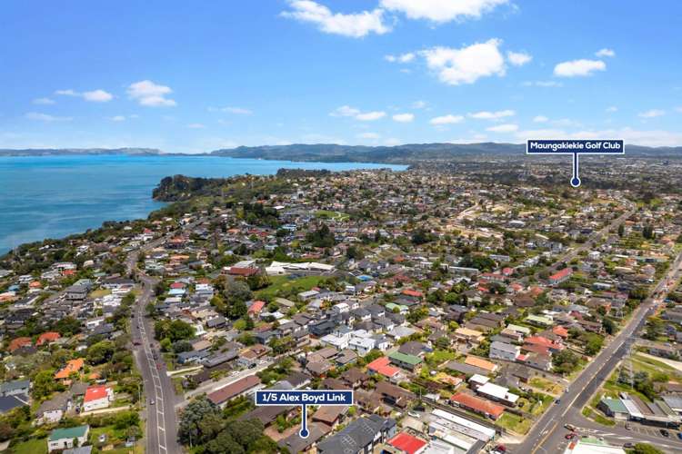 1/5 Alex Boyd Link Hillsborough_19