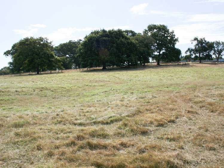 11 Dove Place Oamaru_10