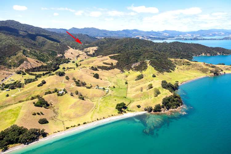 820 Colville Road Coromandel_17