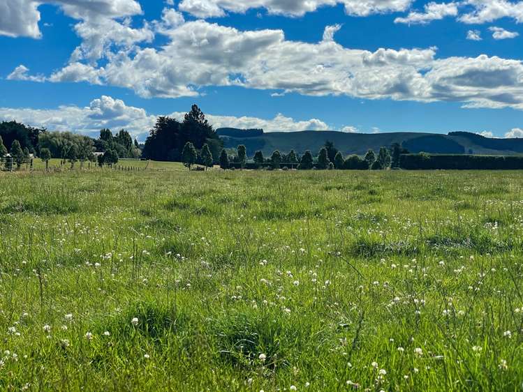 1177 Limehills Browns Road Winton Surrounds_15