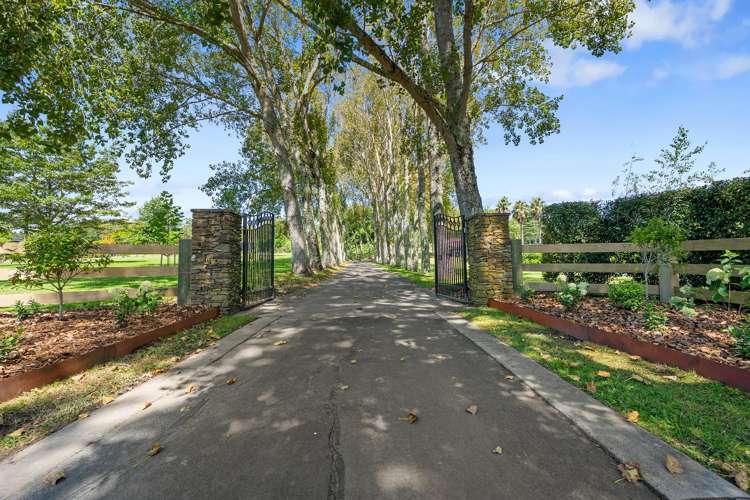 44 Hardens Lane Paremoremo_10