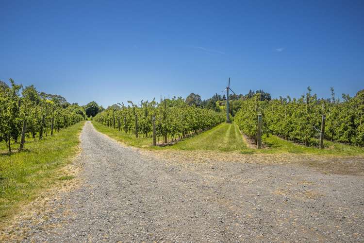 490 Puketitiri Road, Puketapu Napier South_11