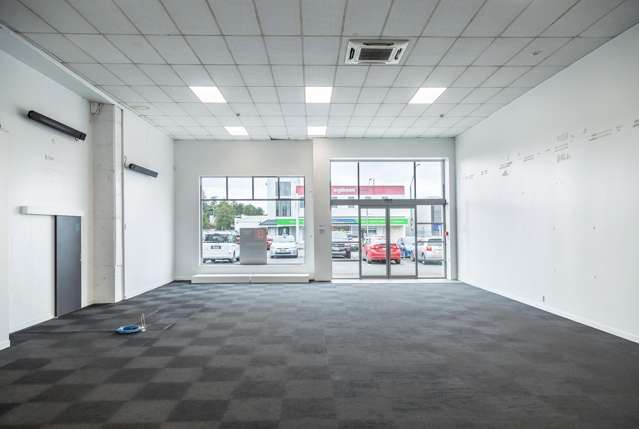 Unit 2/3 Albert Street Masterton_4