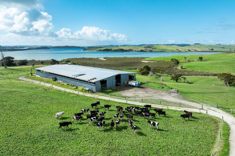 450 Neems Road Matakohe_8