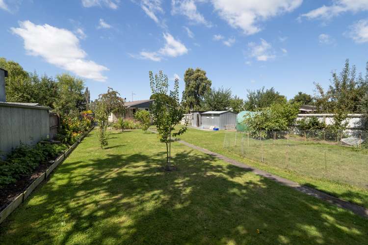 74 David Street Hinds_12