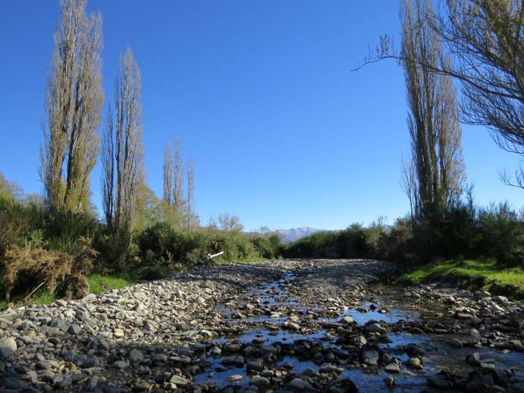 142 Nixons Road Fairlie_19