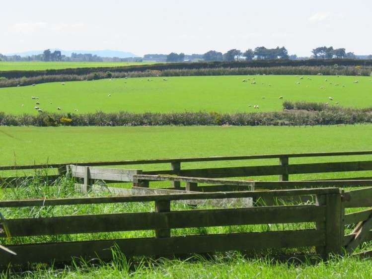 136 Kapuka North Road Wyndham Surrounds_10