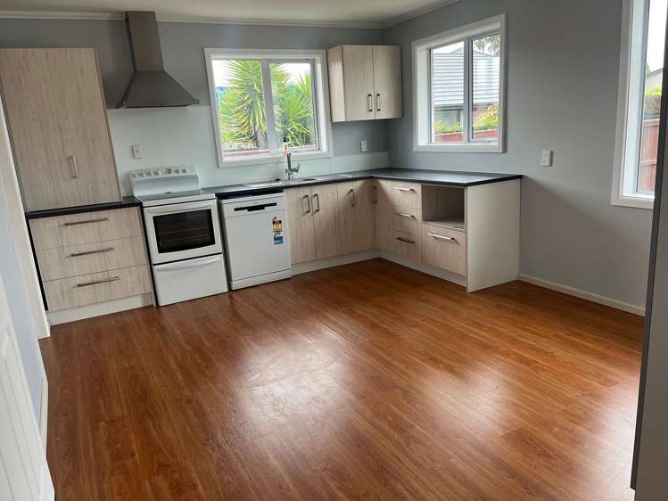 44 Seymour Street Hornby_3