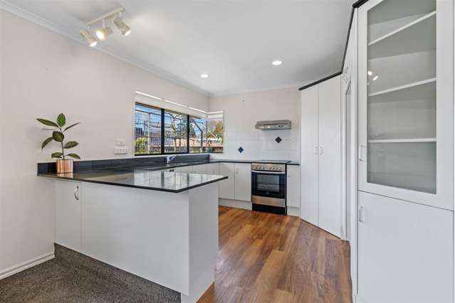 207 Fourteenth Avenue Tauranga South_2