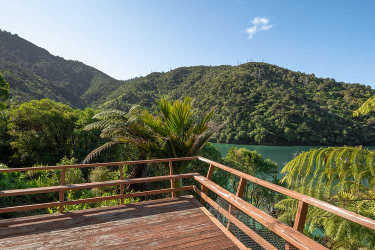 2 and 11 Bay of Many Coves Marlborough Sounds_5