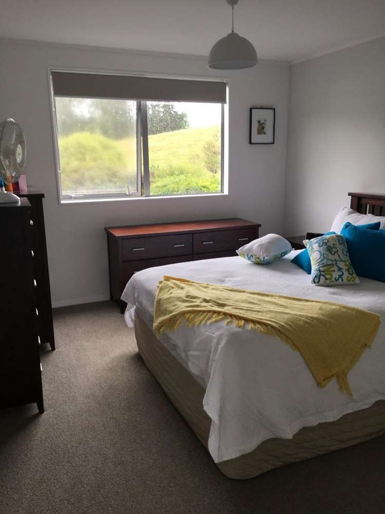 358a Horseshoe Bush Road Dairy Flat_8