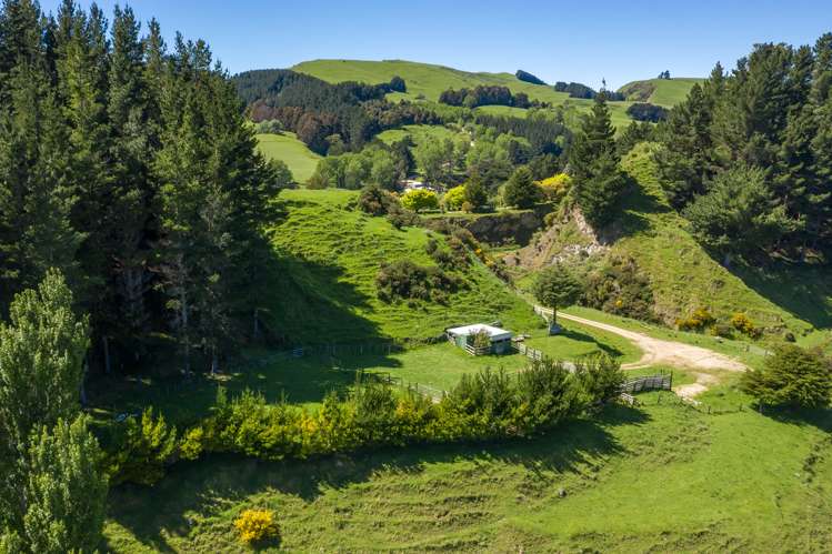 South Road Opunake_8