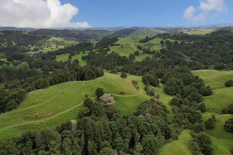 Lot 2/347 Porter Road Paparoa_1