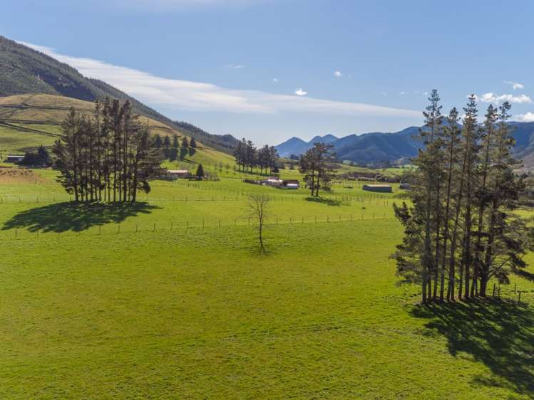 55 Maungatapu Road Rai Valley_9