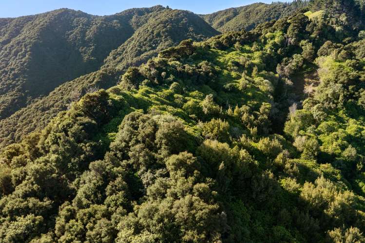 240 Cave Road Waimata_16