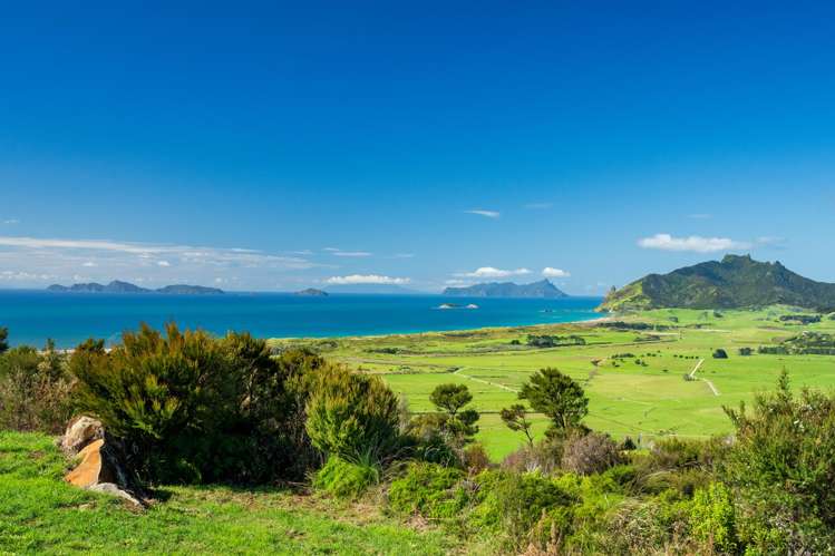 65 Rarangi Heights Parua Bay_9