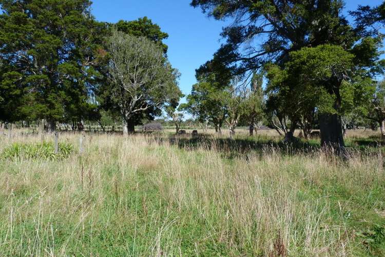 316 Wood Street Woodside_12