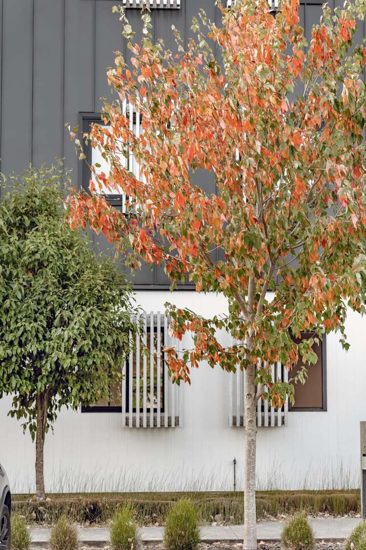 4/165 Hobsonville Point Road Hobsonville Point_17