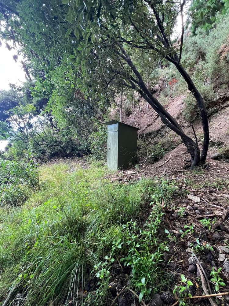 Ahitarakihi Bay Queen Charlotte Sound_13