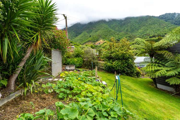 78 Scotland Street Picton_25