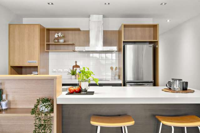 4D/10 Lorne Street Te Aro_2