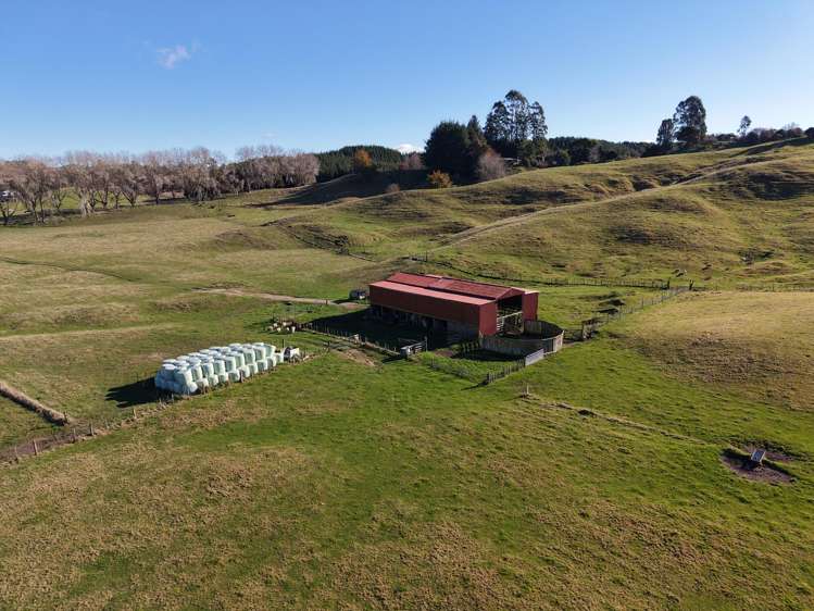 171 Tuhingamata Road and 38 Tangye Road Oruanui_23