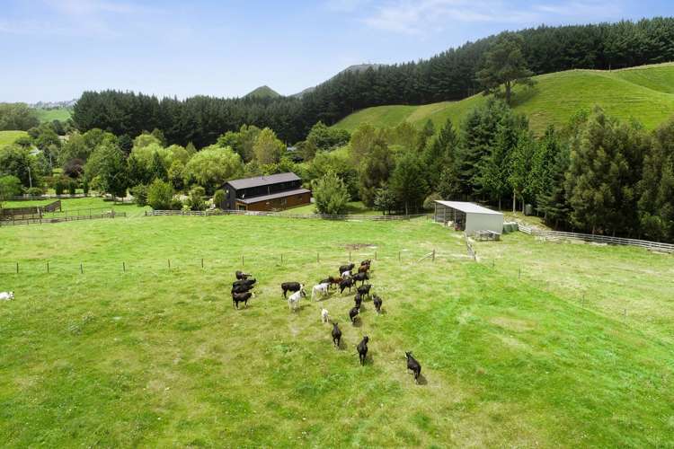 1765 Tutukau Road Taupo Surrounds_27