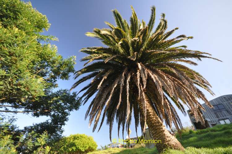 32 Sandy Beach Road Tinopai_31