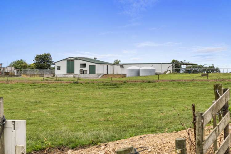 51a Waverley Road Gordonton_5