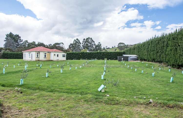 836b State Highway 2 Opaki_5