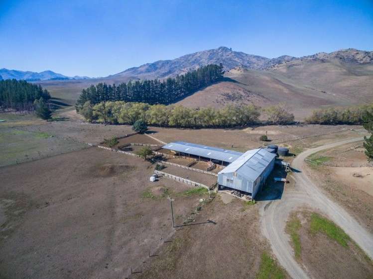 1028 Hurunui Bluff Road Hurunui_17