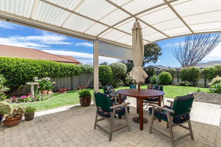 253 Guppy Road Taradale_9