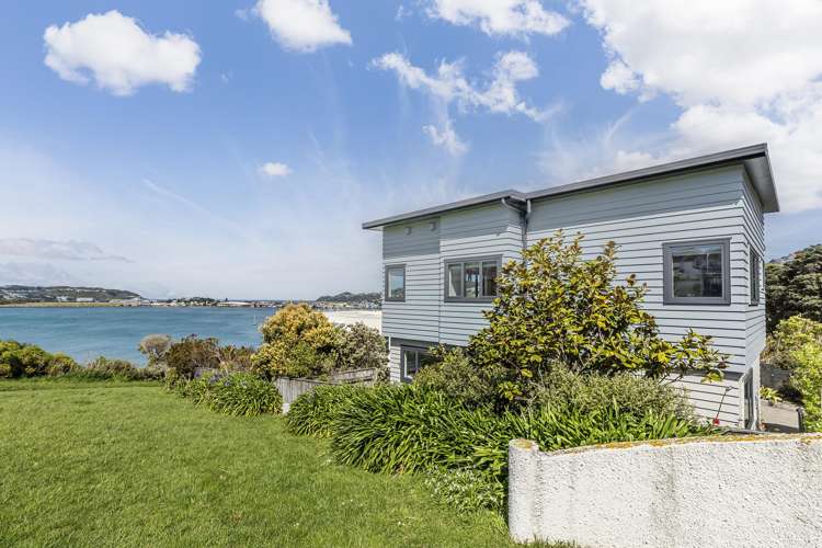 33a Treasure Grove Hataitai_24