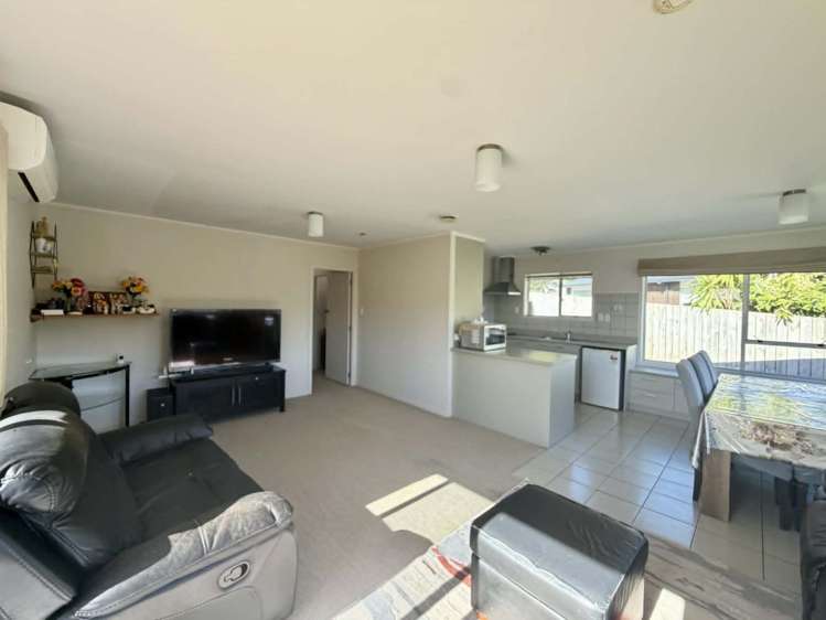 17 Heaphy Street 2169_10