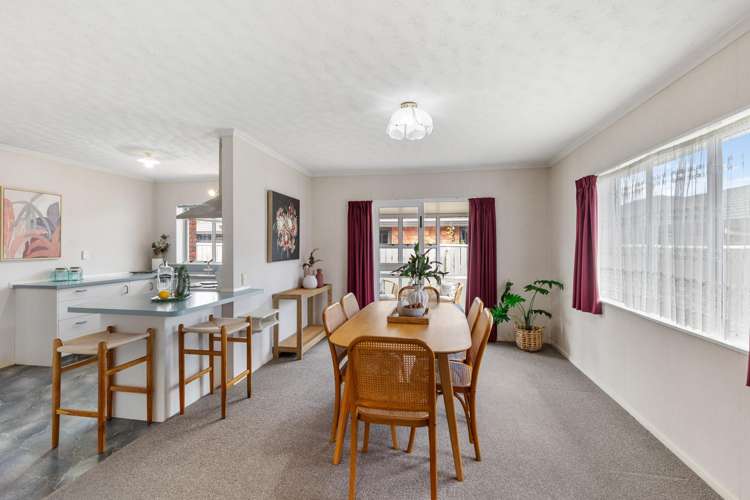 18 Manchester Street Levin_1