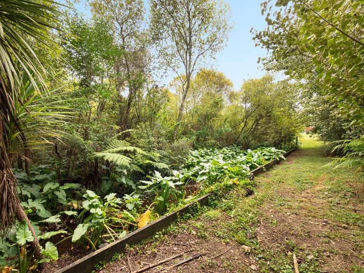 4 Highfields Drive Katikati_27