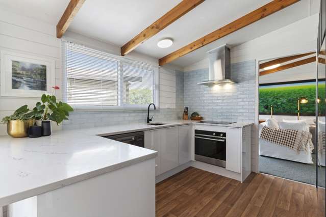 1/2 Springbank Lane Te Atatu Peninsula_4