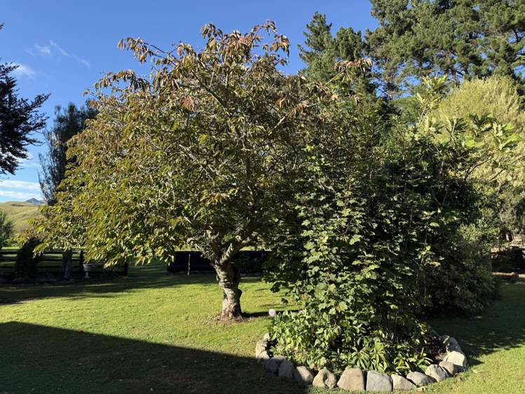 1034 Waitahora Road Dannevirke_26