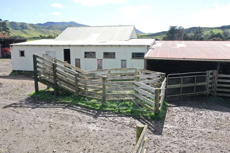 85289 State Highway 2 Eketahuna_12