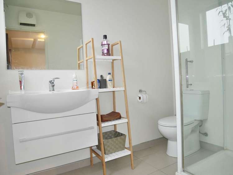 36B Hastings Street West Sydenham_9